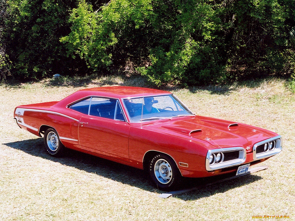 1970, dodge, coronet, superbee, 